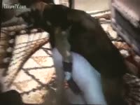 This dog is truly eager